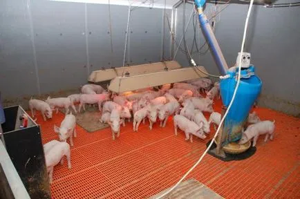 Extrudat hranei pentru animale este