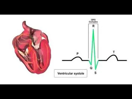 Ce este o ecocardiografie Ce este o ecocardiografie