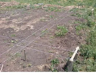 Ce trebuie să umple fundația Ce trebuie să umple fundația