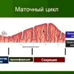 hormoni ovarieni