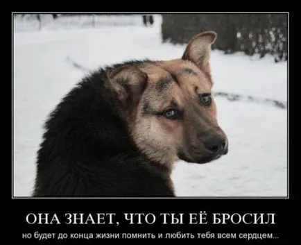 Care sunt imagini triste