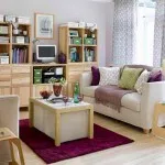Cum să bată sala în apartament Cum să bată sala în apartament