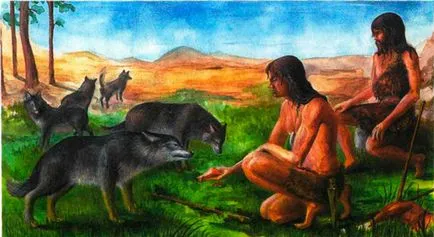 rase de câini sălbatici