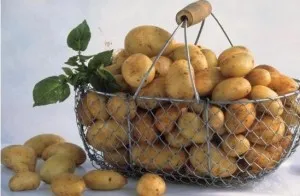 Cum să vă spălați-vă pe mâini tineri cartofi