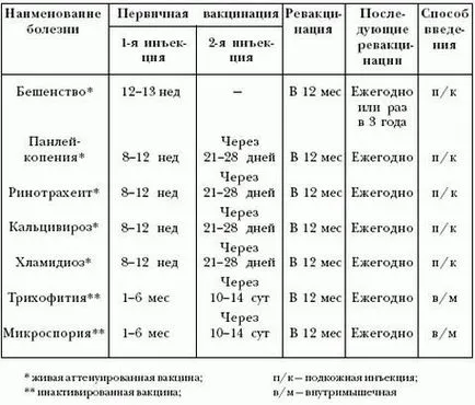 Când să se vaccineze pisica Când să se vaccineze pisica