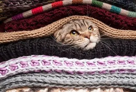 Cum să scapi de păr Cum să scapi de păr