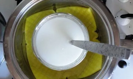 Ca crosetate șervețel apretata Ca crosetate șervețel apretata
