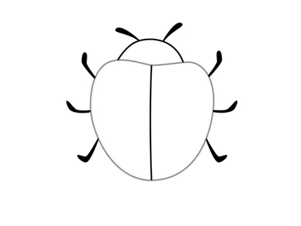 Cum de a desena o gărgăriță