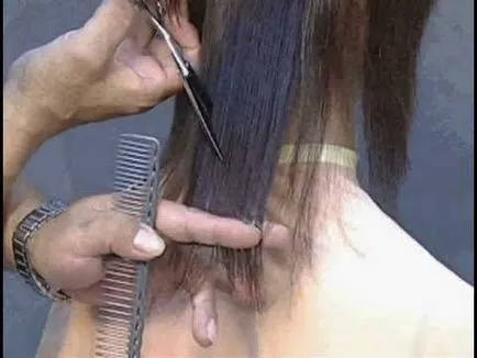 Barber cum să taie