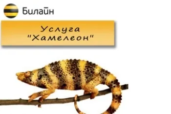 Cum se dezactivează un mts cameleon Cum se dezactivează un mts cameleon