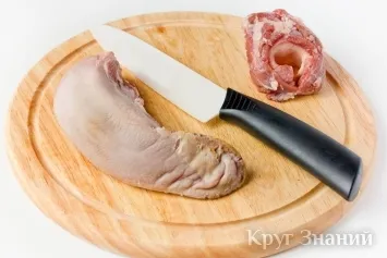 Cum de a procesa limbajul