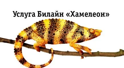 Cum se dezactivează un mts cameleon Cum se dezactivează un mts cameleon