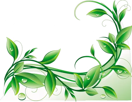 Cum de a transfera de la vectorul raster Cum de a transfera de la vectorul raster