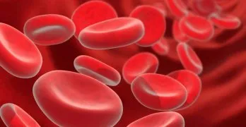 Cum de a închiria un test de sânge comun Cum de a închiria un test de sânge comun