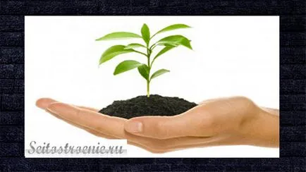 Cum de a crea un site web și de a promova-l