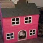 Cum de a construi o casă din cutie