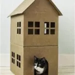 Cum de a construi o casă din cutie