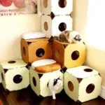 Cum de a construi o casă din cutie