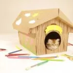 Cum de a construi o casă din cutie