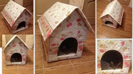 Cum de a construi o casă din cutie
