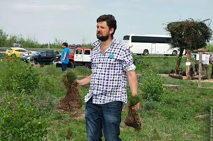 Cum de a planta o pădure