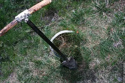 Cum de a planta o pădure
