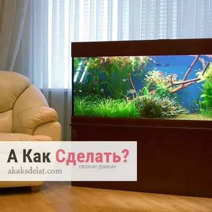 Acvariu a făcut cu propriile lor mâini Acvariu a făcut cu propriile lor mâini