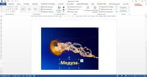 Cum de a scrie o imagine cu inscripția