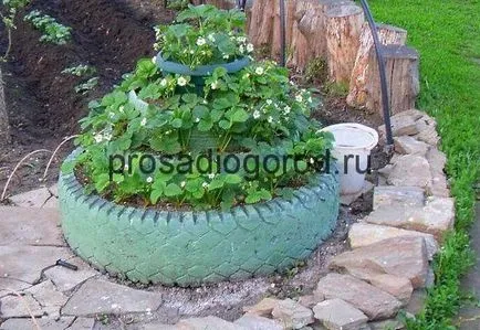 Cum de a decora gradina ta Cum de a decora gradina ta