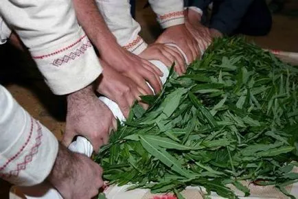 Cum să se pregătească ceai din ceai de salcie Cum să se pregătească ceai din ceai de salcie