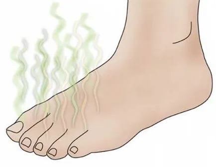 Cum de a elimina mirosul de sudoare în pantofi Cum de a elimina mirosul de sudoare în pantofi