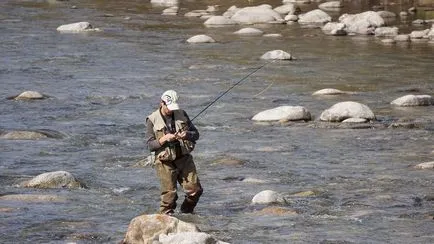 Cum se setează momeala