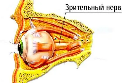 Cum nervii sunt tratate Cum nervii sunt tratate