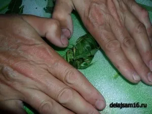 Cum să se pregătească ceai din ceai de salcie
