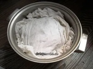 Cum să se pregătească ceai din ceai de salcie