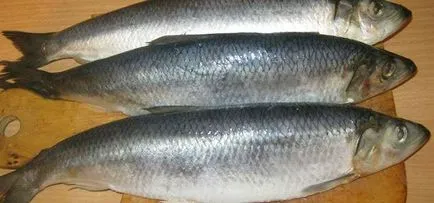 Ca hering sărat Ca hering sărat