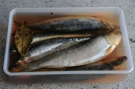 Ca hering sărat Ca hering sărat