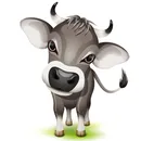 poze de vaca