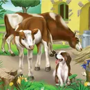 poze de vaca