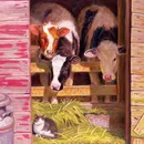 poze de vaca