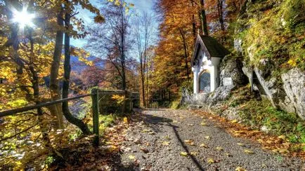 Cifrele cu privire la natura acestei