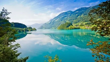 Cifrele cu privire la natura acestei