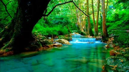 Cifrele cu privire la natura acestei