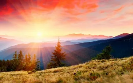 Cifrele cu privire la natura acestei