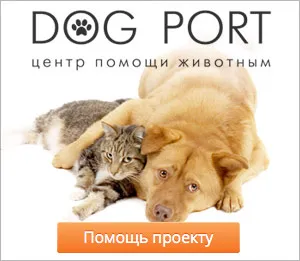 Unul cu doi câini Unul cu doi câini