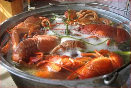 Ca conserve de crab