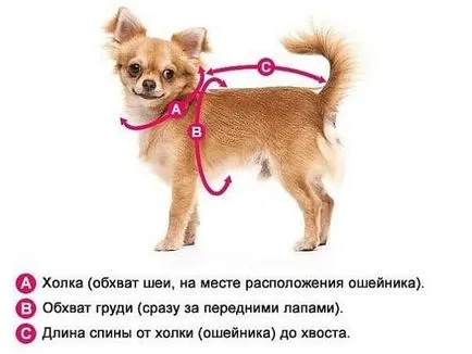 Cum să coase un costum pentru el însuși