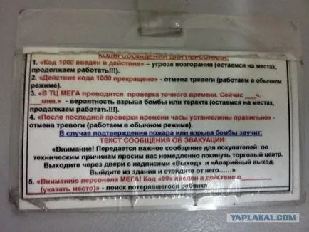 Care a fost în Mega Care a fost în Mega