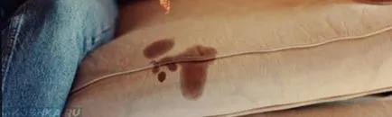 Cum de a elimina mirosul de urina de pe canapea