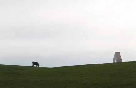 poze de vaca